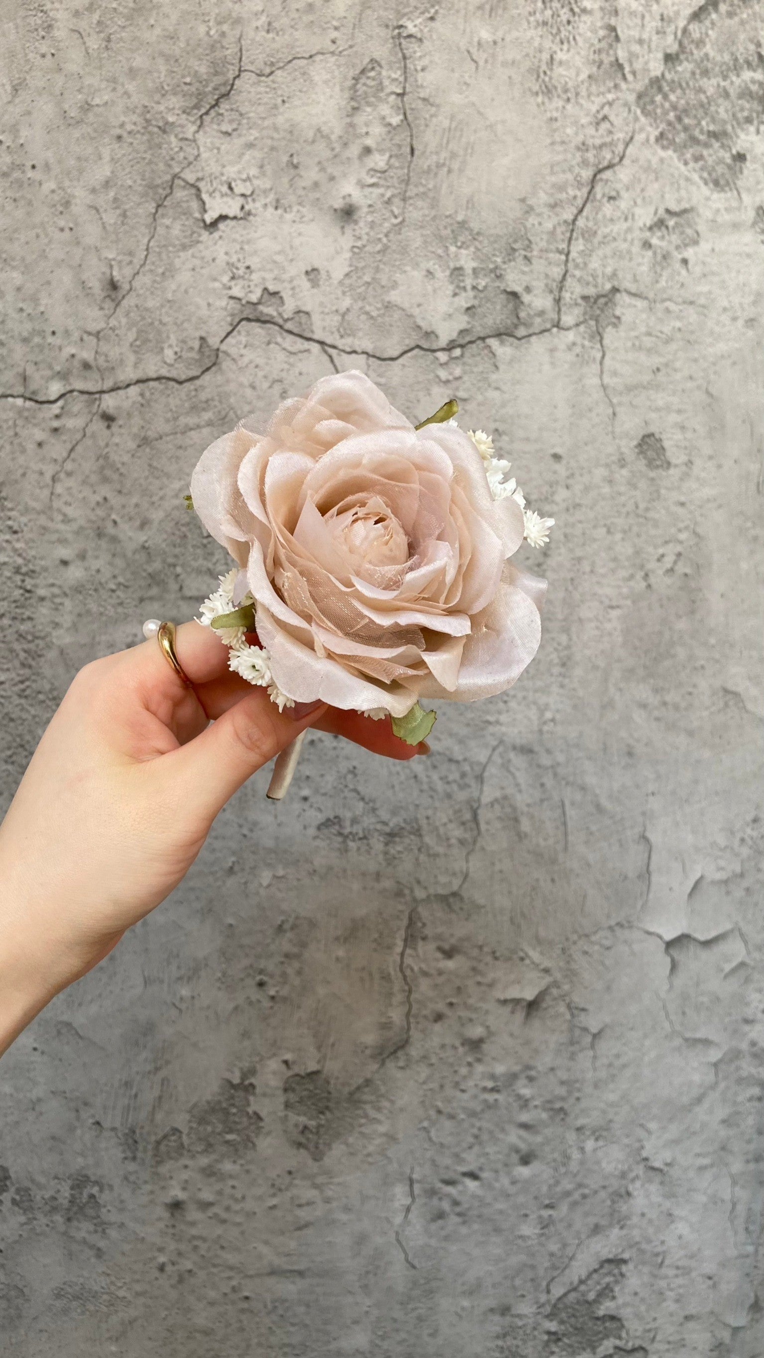 white beige Rose